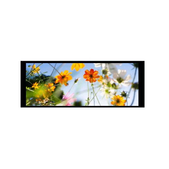 6.86 инча 480 × 1280 IPS TFT модул